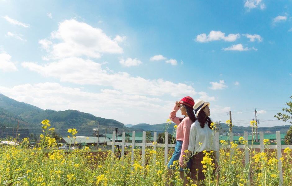 사랑하는 사람을 위해 신선한 치즈 컵케이크를 얻는 방법?