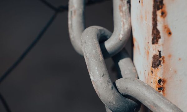 해외선물 투자의 기준을 바꾸는 데이터 중심 파트너, 해선LINK